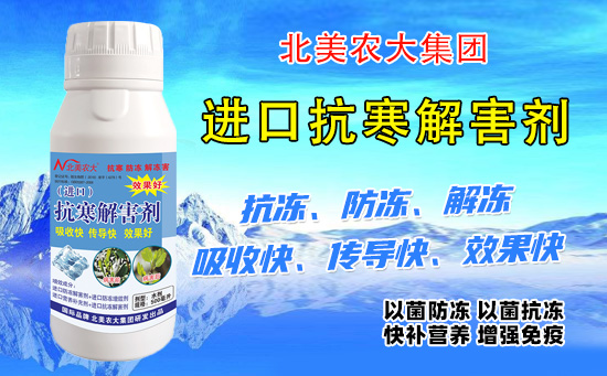 寒冬已至,气温骤降!农作物如何预防冻害? 寒冬已至,气温骤降!农作物如何预防冻害?